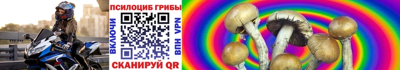 Псилоцибиновые грибы мицелий Городец